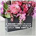 ���ǥ����ʡ������쥯����󢣥ե��꡼�����ޥ����󥿡�ǻ�ԥ󥯷ϥХ�Υ���󥸥��ȡ�