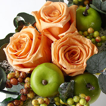 ���ץꥶ���֥ɥե����ѥ�ơ��� -�ѥ쥪-