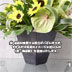 ���ǥ����ʡ������쥯����󢣥����ǥ�ѡ��ƥ����ʥ��������ϤҤޤ��Υ���󥸥��ȡ�
